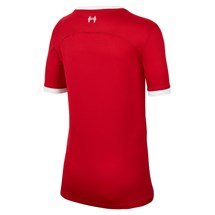 Camisa Nike Liverpool I 2023/24 Torcedor Pro Infantil