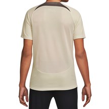 Camisa Nike SCCP Corinthians Treino 2024 Masculino