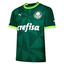 Camisa Puma Palmeiras I 2023 Masculino