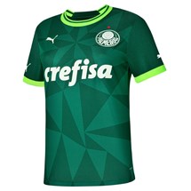 Camisa Puma Palmeiras I Torcedora 2023/24 Feminino