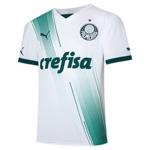 Camisa Puma Palmeiras II 2023 Jogador Masculino