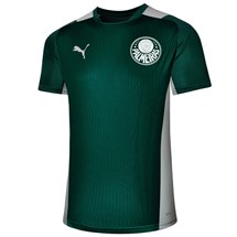 Camisa Puma Palmeiras Treino 2022 Masculino