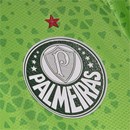 Camisa Puma Palmeiras Treino e Viagem Torcedor 2024 Masculino