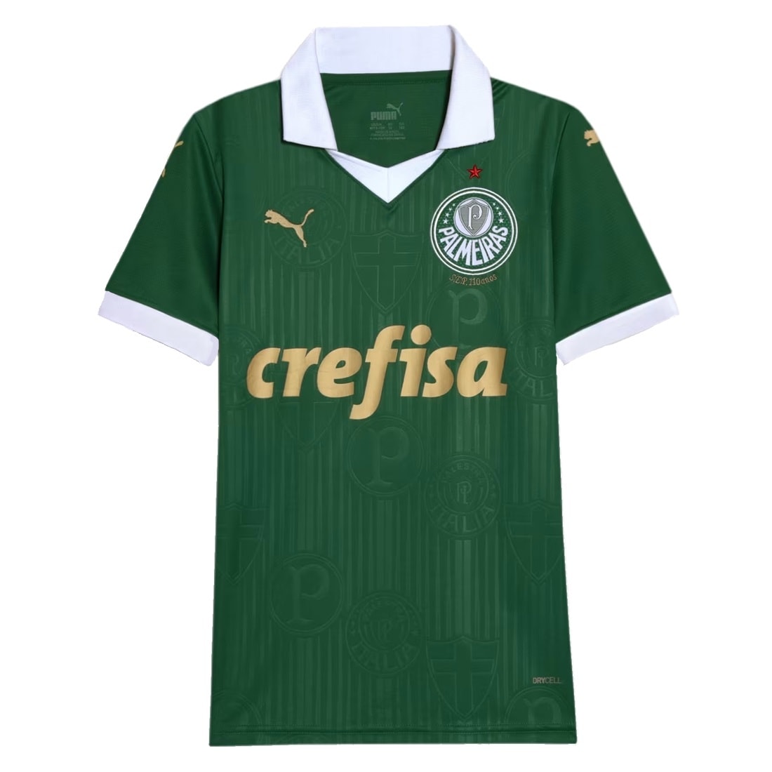 Agasalho do palmeiras store juvenil