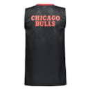 Regata Braziline Chicago Bulls Essence Juvenil